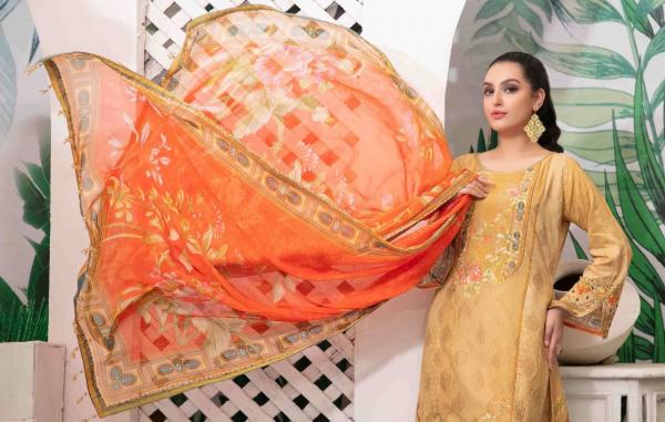 Apna Raiza Sultan Vol-35 Cotton Designer Exclusive Patiyala Suit